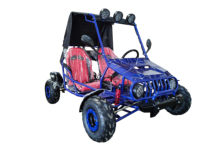 Dune Buggy automatique 125cc à vendre Transmission à entraînement par chaîne cylindrée 110cc équipée d'un blocage de différentiel