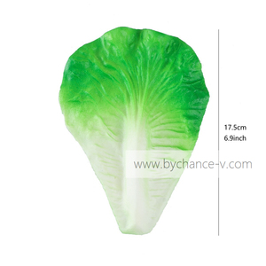 Échantillons <span class=keywords><strong>de</strong></span> feuilles <span class=keywords><strong>de</strong></span> laitue artificielles réalistes et durables pour les expositions <span class=keywords><strong>de</strong></span> musées, <span class=keywords><strong>la</strong></span> science, l'agriculture, <span class=keywords><strong>la</strong></span> botanique et les présentations en laboratoire pédagogique - Product Image 2