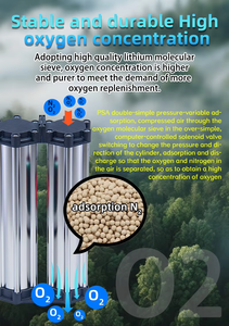 Concentrador de Oxígeno de Alta Concentración con Tamiz de Zeolita de 10L, <span class=keywords><strong>Columna</strong></span> de Zeolita, Torre de Oxígeno, Tamiz Molecular para Concentrador de Oxígeno - Product Image 6