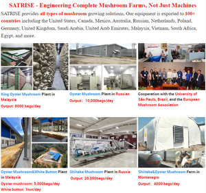 Horizontal Double Door Mushroom Autoclave High Pressure Retort Sterilizer For Large Scale Commercial Mushroom Cultivation <b>Farm</b> - Product Image 6