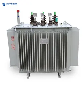 Transform Supplier 11kV Immersed 50kVA 75kVA 100kVA 125kVA Oil Type Transformer