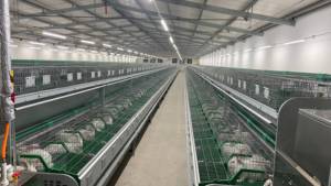 Nouvelle cage d'élevage <span class=keywords><strong>de</strong></span> lapins <span class=keywords><strong>de</strong></span> style européen en H, galvanisée à chaud et soudée, avec une construction durable et <span class=keywords><strong>de</strong></span> haute précision - Product Image 2
