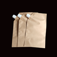 Pochette à bec verseur personnalisée de qualité alimentaire pour jus et liquides, sachet refermable anti-fuite avec bouchon et bec verseur