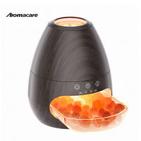 Humidificateur brume feu Simulation électrique arôme sel pierre 3D diffuseur de flamme pour Yoga maison chambre