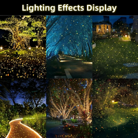 Projecteur laser ciel étoilé 2W RGB pleine couleur, étanche IP65, DMX512, 60, directement de l'usine °   Scénographie pour scène de jardin en plein air
