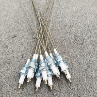 Hot Selling Keramik Zündung Elektroden brenner Zündkerze Industrieller Flammens ensor für Gas zünder Kunden spezifische Schneid verarbeitung