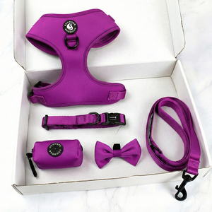 デザイナーによるパーソナライズされたノープル犬用ハーネス、うんち袋ディスペンサー、カスタムロゴ入り調整可能なペット用首輪とリード、ペット用品 - Product Image 4
