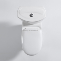 Ensemble de toilettes en céramique bon marché, couleur blanche, avec siphon en P, différentes tailles
