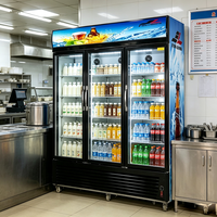 Réfrigérateur commercial à porte simple, distributeur de boissons électrique, refroidisseur de boissons, vitrine réfrigérée