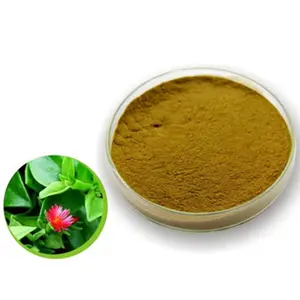 Factory supply natural Andrographis paniculata extract P.E. Andrographolide powder price Cas 5508-58-7
