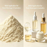 Voedingsmiddelkwaliteit Papain Enzym Poeder Papaya Extract Spraygedroogd Natuurlijk Vleesverzachtende Protease Enzym voor Bakkerij en Dranken