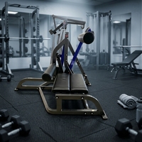 Machine de musculation professionnelle réglable en acier pour l'extension dorsale et l'exercice pectoral, idéale pour le renforcement du bas du dos