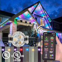 Luces LED de Píxeles RGB de 12V Ajustables para Exteriores, de PVC Impermeable IP68 de Alta Calidad