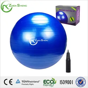 Zhensheng PVC 55cm 65cm 75cm Custom Logo And Color Inflatable Fitness Swiss Ball Exercise Yoga Ball Wholesale