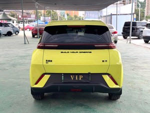 BYD 2024 modèle Haidou Honor Edition avec une portée de 305km et une édition gratuite - Product Image 3