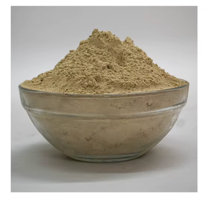 Premium Cissus Quadrangularis Extract Powder Dried Plant Stem Botanical Herbal Fine Powder Natural Plant Based Ingredient - Product Image 3