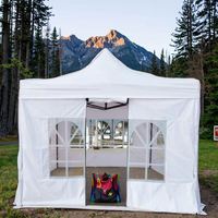 Tente pliante automatique Tengqing robuste 3x3 m type étendu, idéale pour événements extérieurs, impression de logo, usage commercial