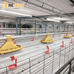 36,000 case di pollo sistema di sollevamento del pavimento della griglia per la batteria gabbia attrezzature con sistema di pulizia del letame - Product Image 2