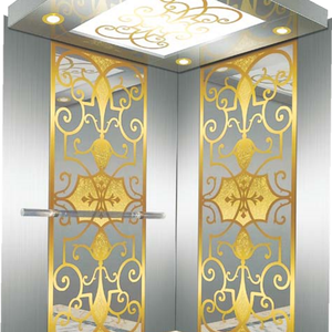 Ascensor Doméstico/Elevador Doméstico Pequeño para Personas Mayores/Elevador Doméstico Vertical para Interiores y Exteriores - Product Image 5