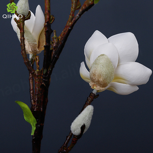 Qihao - Cabezas de Flores Pequeñas Artificiales al por Mayor, Hermosas Magnolias para Decoración del Hogar y Bodas - Product Image 5