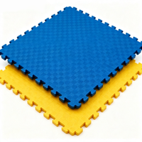 Tapete de Espuma EVA 100x100cm Antideslizante, Grueso, Impermeable, para Gimnasio, Absorbente de Impactos, Encajable, Venta al Por Mayor de Fábrica