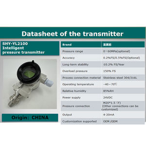 Hohe Überlast kapazität Korrosions schutz Explosions geschützter Druck messumformer 4-20MA Ausgang für Öl Gas Luft Ex-zertifiziert - Product Image 5