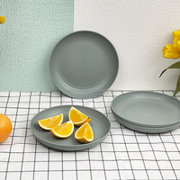 Assiettes et Plats en Plastique Incassable de 10 Pouces de Haute Qualité pour la Restauration en Gros, avec Logo, Idéales pour le Camping