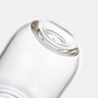 Bouteille d'eau réutilisable moderne en verre borosilicate de 300 ml avec bouchon à vis, anti-fuite, prix de gros