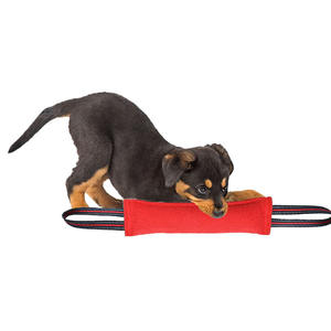 Isırmaya dayanıklı römorkör Pet oyuncak sert dayanıklı firedog yangın hortumu köpek oyuncak köpek için - Product Image 2