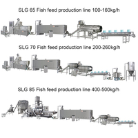 Machine extrudeuse entièrement automatique pour aliments flottants pour poissons, ligne de production de granulés aquatiques 1 tonne par heure