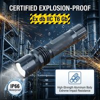 Lampe torche LED robuste, étanche IP66, anti-explosion, rechargeable par USB, conforme aux normes ATEX, pour l'exploitation minière, le nettoyage des tunnels et des réservoirs, et l'usage industriel