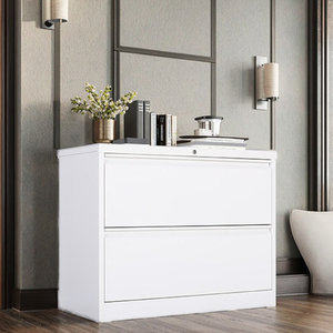 Modern 2-<b>Drawer</b> Vertical Steel File Cabinet Customized High Quality <b>for</b> Bedroom Kitchen Home Office Living Room-Direct Factory - Product Image 1