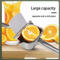 Nieuw Product 2023 Populaire Premium Draagbare Pers Oranje Handbediende Kleine Citrus Juicers Roestvrijstalen Sapcentrifuge Exactor
