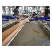 Machine de production de composite bois-plastique PP PE WPC / ligne de production de panneaux muraux / extrudeuse de panneaux de fenêtres et de portes
