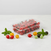 Chinese fabrikant op maat gemaakte 250g 500 aardbei-kersentomaat verpakking PET plastic clamshell doos fruitverpakking tray