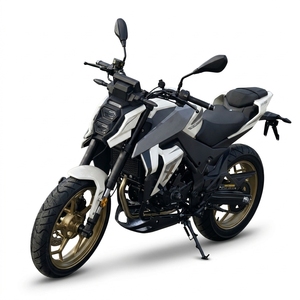 NEWBOT <span class=keywords><strong>Moto</strong></span> <span class=keywords><strong>de</strong></span> <span class=keywords><strong>course</strong></span> puissante 300cc pour adultes, 18,5 kW, haute performance, 125 km/h, FE-300 Factory - Product Image 6