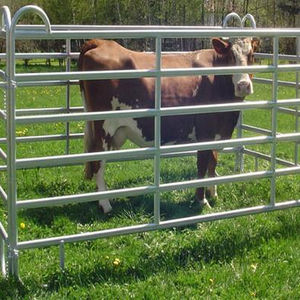 Panneau de clôture de bétail Portable, panneau de clôture galvanisé pour bétail, panneaux de stylo ronds pour cheval à vendre - Product Image 3