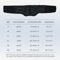 Ceinture de Soutien Lombaire Ajustable Personnalisable pour Musculation, Élastique, Entraîneur de Taille, Femme Homme, Fitness, Polyester, Été Printemps