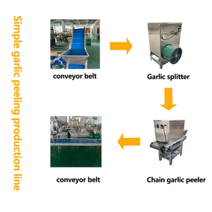 Machine à éplucher l'ail automatique à grande vitesse et haute efficacité en acier inoxydable, avec fonctionnement facile et conception à seau - Product Image 2