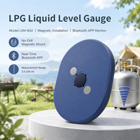Jauge de niveau de bouteille de gaz GPL sans fil Bluetooth avec application mobile, installation non invasive