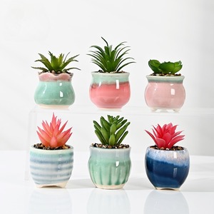 Vasi in Ceramica per <span class=keywords><strong>Piante</strong></span> <span class=keywords><strong>Grasse</strong></span> Artificiali, Mini Giardino Succulento da Scrivania per Casa, Ufficio e Matrimonio - Product Image 2