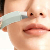 Spatule manuelle double extrémité en acier inoxydable pour le nettoyage en profondeur des pores du nez et l'extraction des points noirs – Kit de nettoyage facial