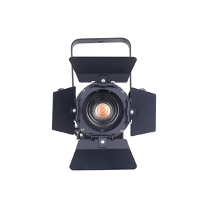 빠른 배송 Barndoor 20-60 도 수동 줌 LED 스포트라이트 라이브 스트림 전시회 무대 조명이있는 60W 미니 프레넬 - Product Image 4