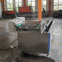 Groente- en fruitwasmachine met motor, multifunctionele reinigingsapparatuur van roestvrij staal