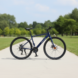 Bicicleta de Montaña Tradicional de 29 Pulgadas - Cuadro de Acero Resistente, Frenos de Disco de Fibra de Carbono, Neumáticos Anchos, 27 Velocidades, Suspensión Delantera, Downhill 4A11 Titanio - Product Image 1
