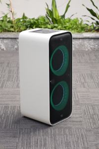 AAWM双8英寸派对扬声器RMS 130瓦无线音响设备放大器，带可充电锂电池 - Product Image 3