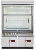 Hotte industrielle Armoire de laboratoire Mobilier d'atelier hospitalier École Biologie Verre Fer Acier Résine époxy PP Métal Moderne