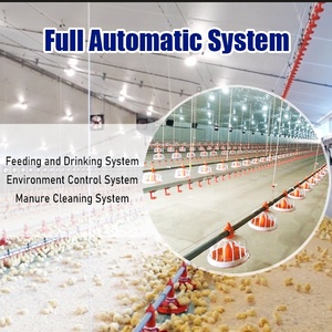 Attrezzatura per Allevamento Avicolo Automatico all'Ingrosso per Polli da Carne e Allevamento a Libera Pasqua - Product Image 3