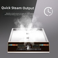 Four électrique anti-oxydation, machine à cuire à la vapeur stable pour un fonctionnement continu sur de longues périodes