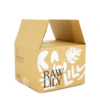 Caja de Envío Impresa de Cartón Kraft Natural Sin Recubrimiento, Económica y al Por Mayor, con Diseño de Plantas Tropicales para Marcas de Cosméticos Orgánicos